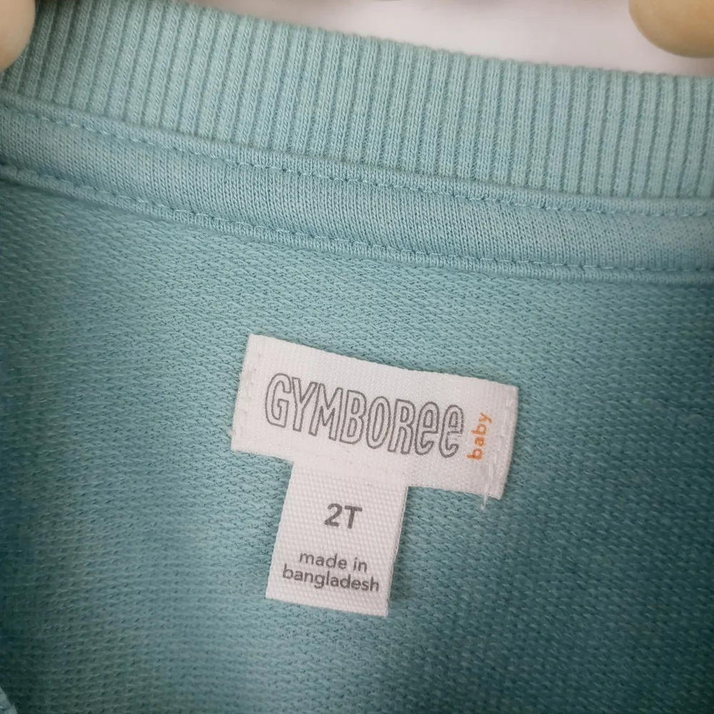 Gymboree girls size 2T mint ruffle crewneck elastic hem long sleeve top